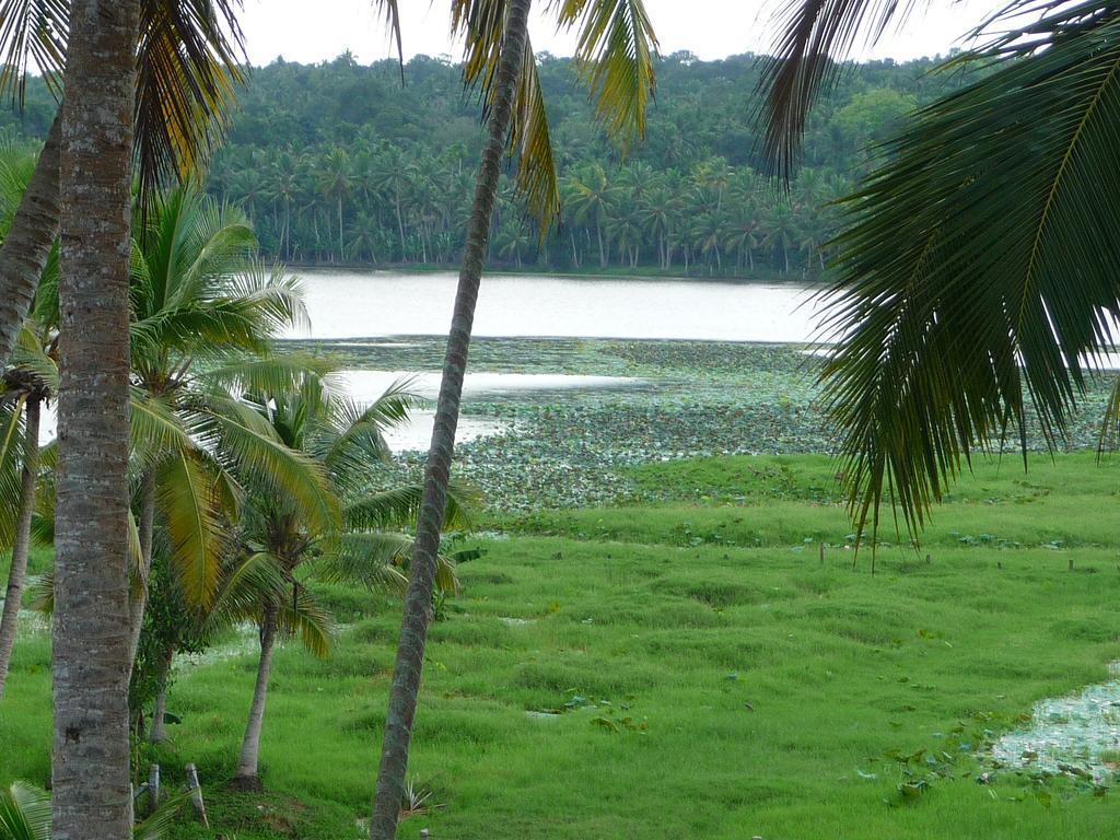 Ganesh Ayurveda Holiday Home Bed And Breakfast Kovalam Luaran gambar